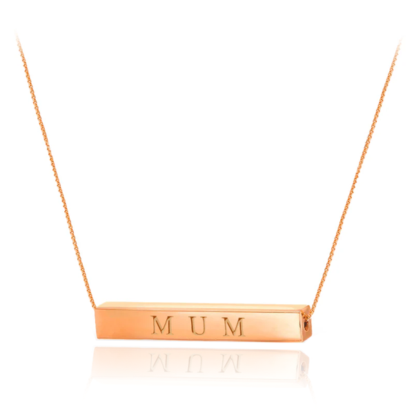 Erin Rose Plated 3D Bar Necklace