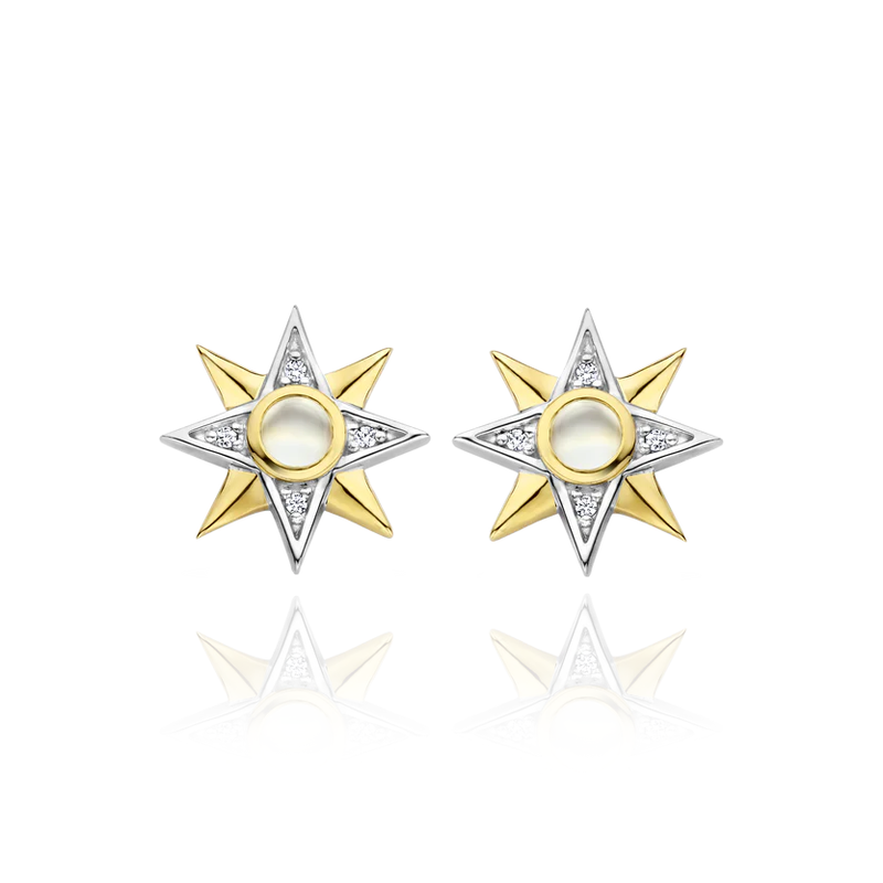 TI SENTO silver stud earrings flaunt a star shape with a mother of pearl centrepiece