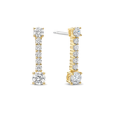 Long Zirconia Earrings
