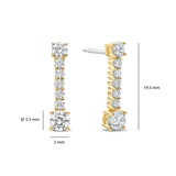 Long Zirconia Earrings
