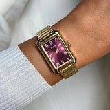 CLUSE Wine & Gold Belisenna Steel Watch
