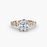 The Graduated Accent Ring