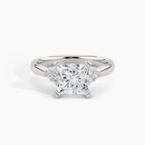 950 Platinum, Princess, down view